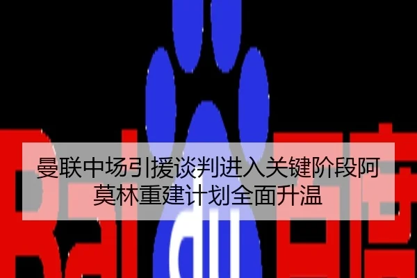 曼联中场引援谈判进入关键阶段阿莫林重建计划全面升温